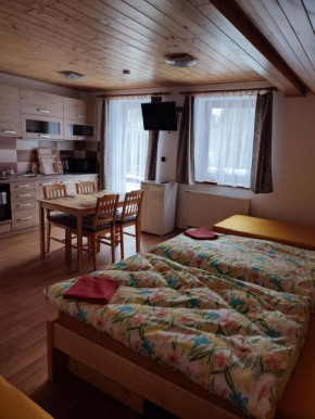Ubytování Niki, Rokytnice Nad Jizerou